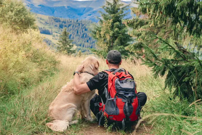 Dogtrekking – o aktywności z pupilem