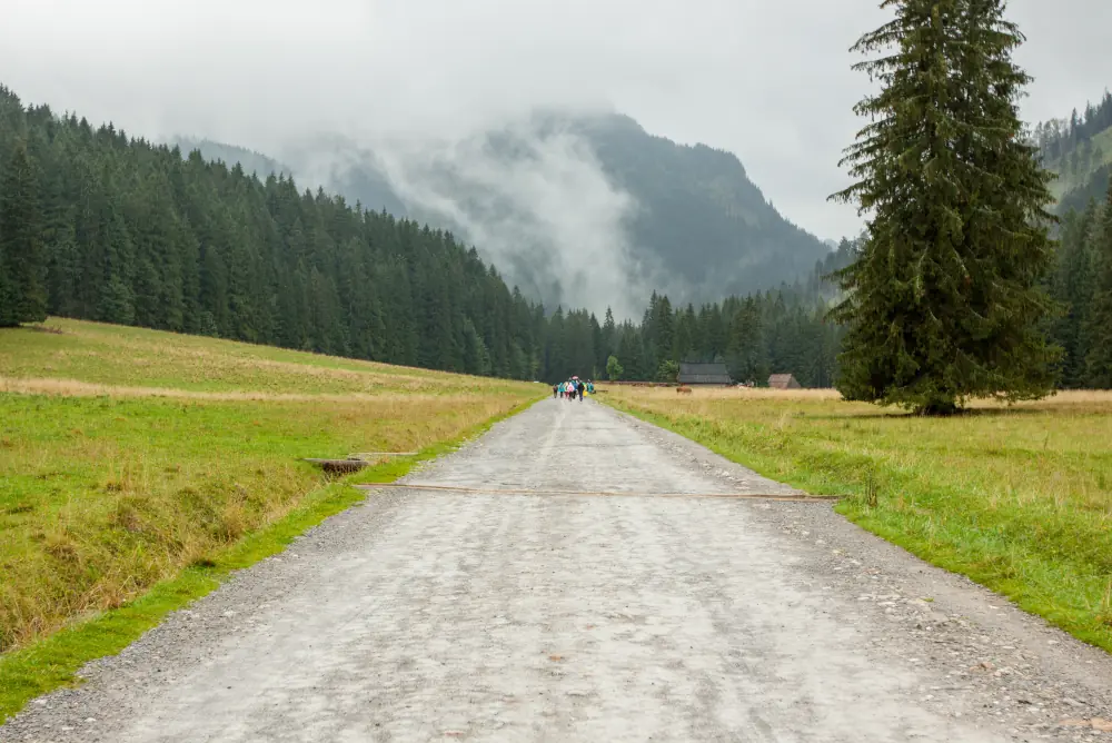 Szlak w Dolinie Kościeliskiej