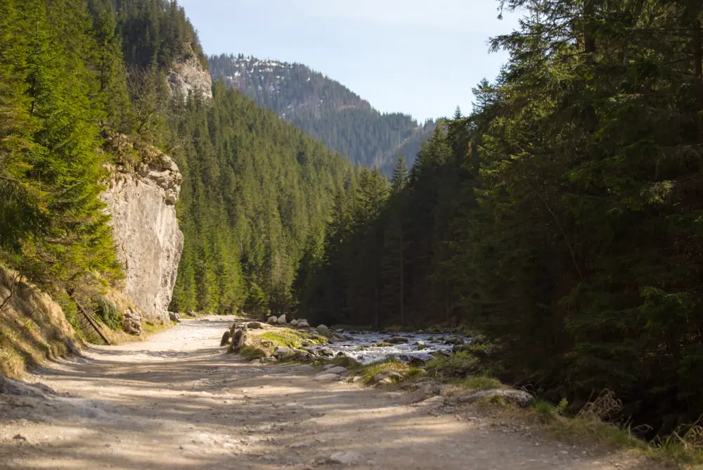 Dolina Kościeliska, szlak obok rzeki