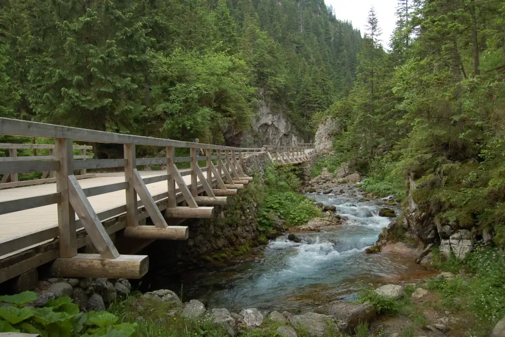 Mostek nad rzeczką w Dolinie Kościeliskiej