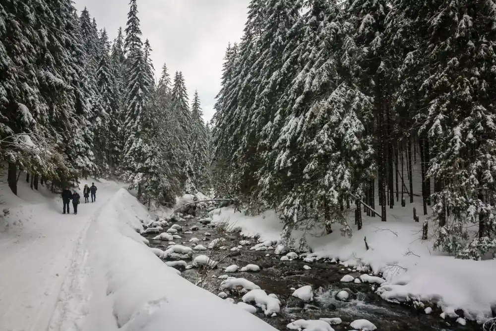 Dolina kościeliska zimą